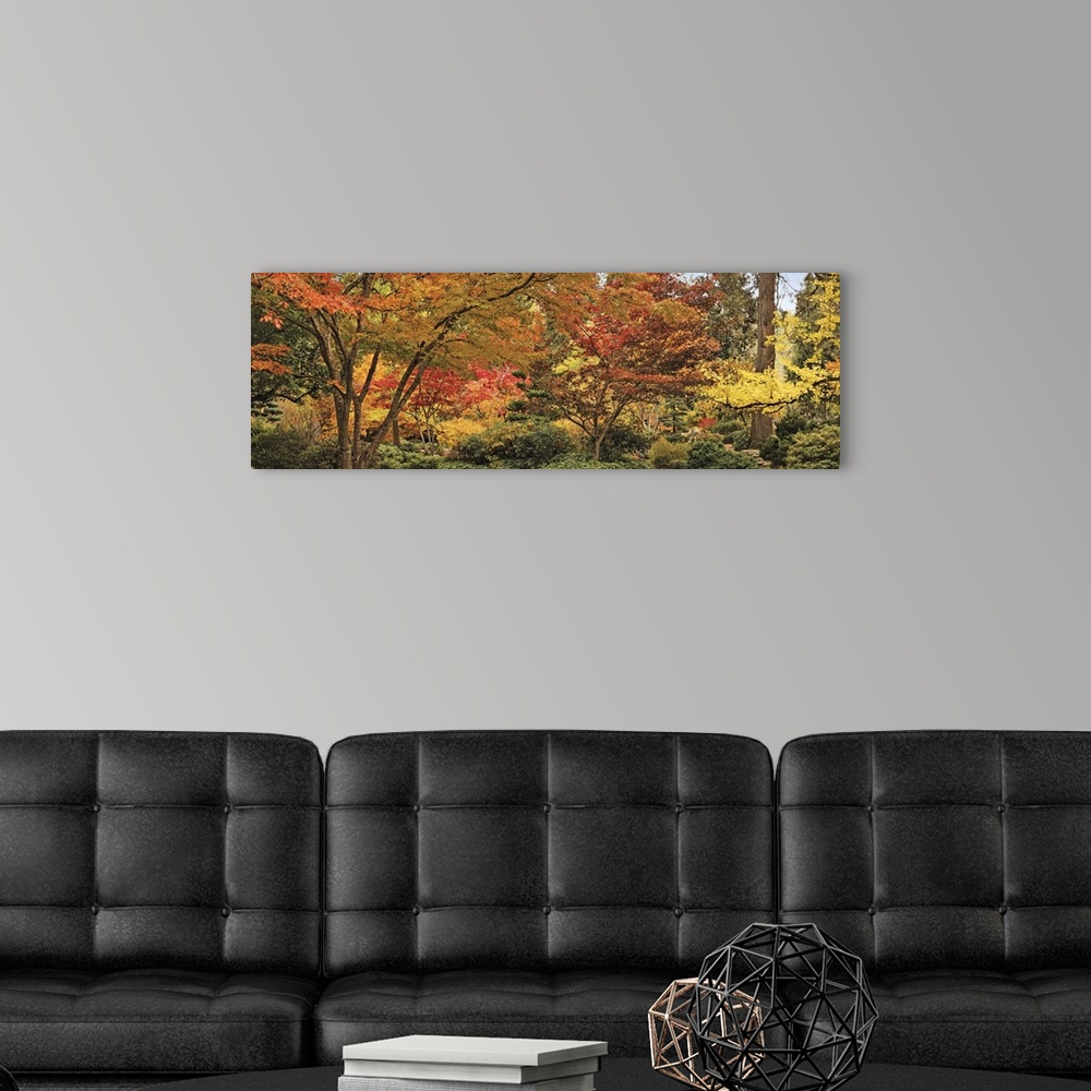 A modern room featuring Big panoramic canvas print of autumn colored trees.