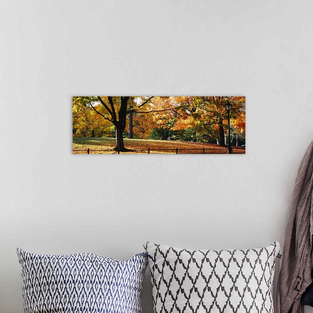 A bohemian room featuring Panoramic photo on canvas of fall foliage covered trees in Central Park.