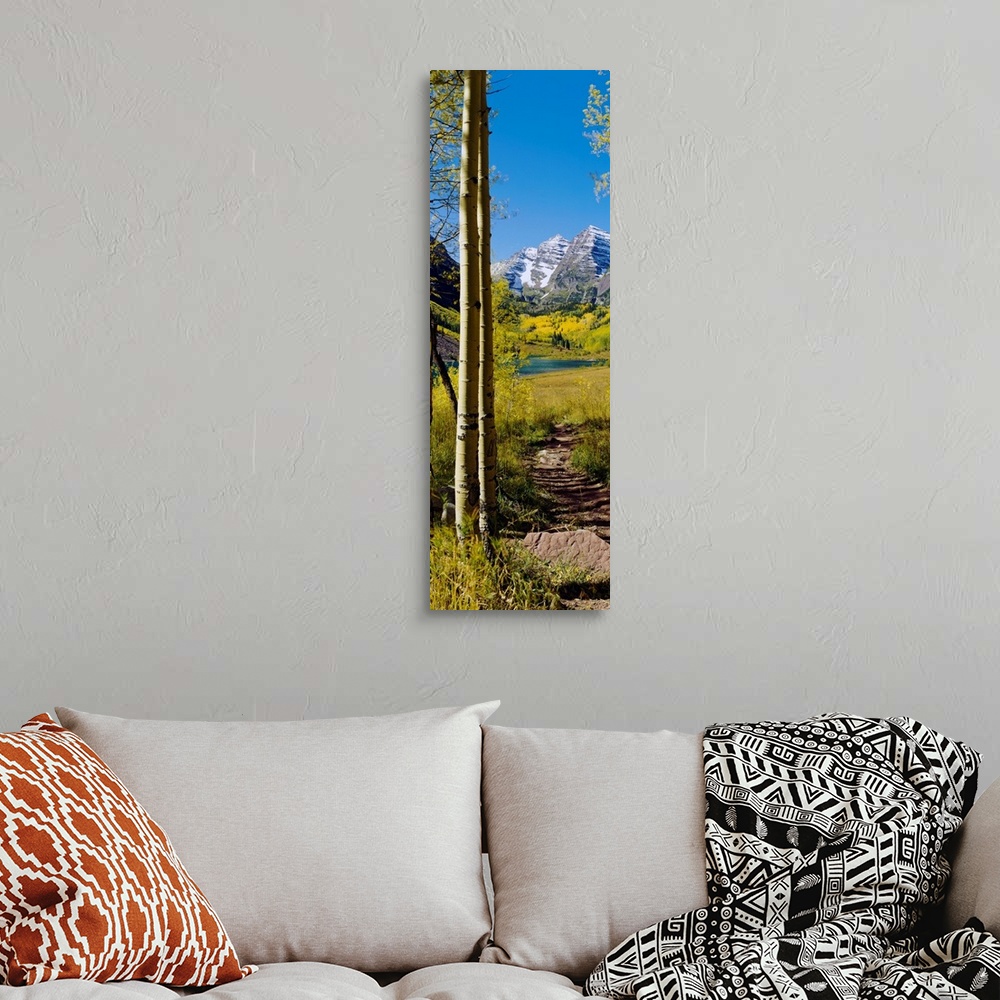A bohemian room featuring A vertical photograph of a path out of the woods and into a sunny meadow with a mountain on the o...