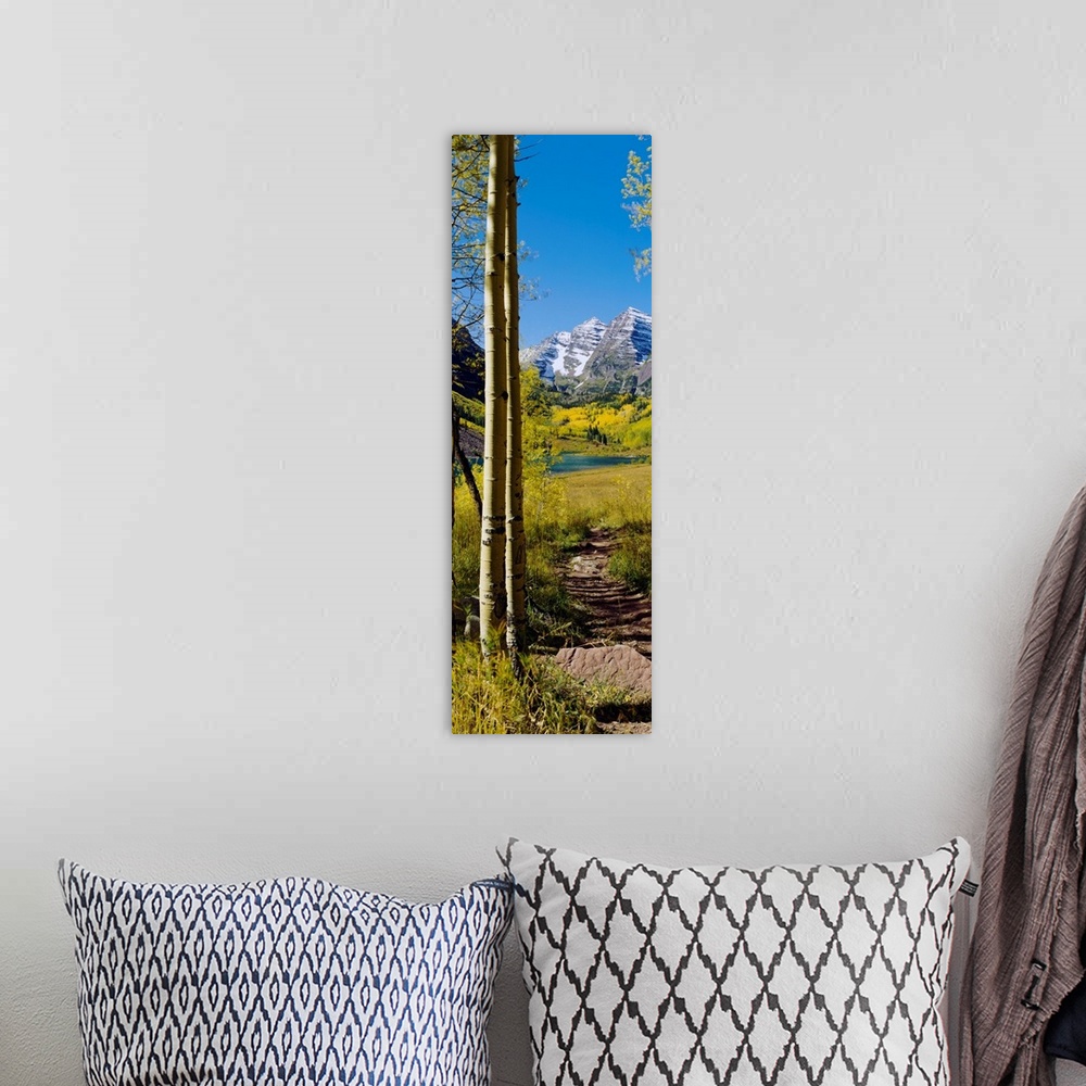 A bohemian room featuring A vertical photograph of a path out of the woods and into a sunny meadow with a mountain on the o...
