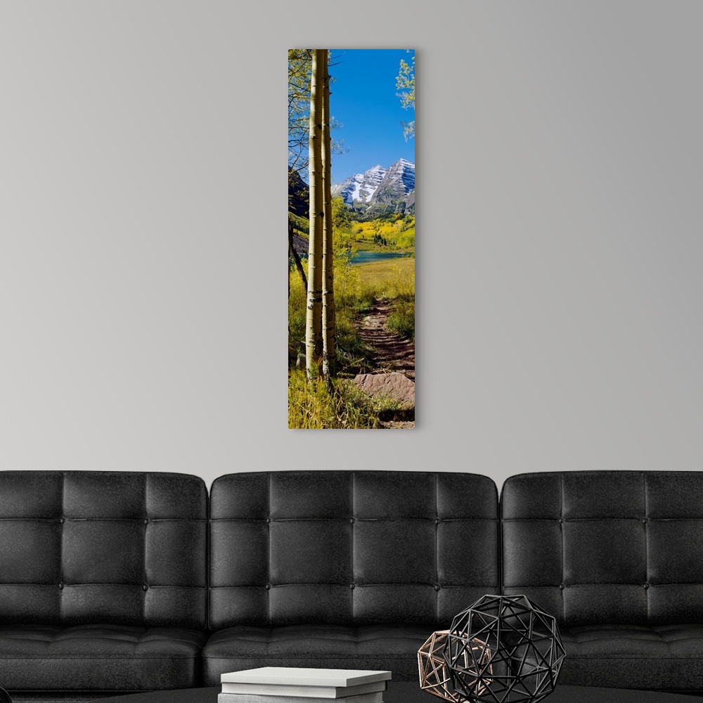 A modern room featuring A vertical photograph of a path out of the woods and into a sunny meadow with a mountain on the o...