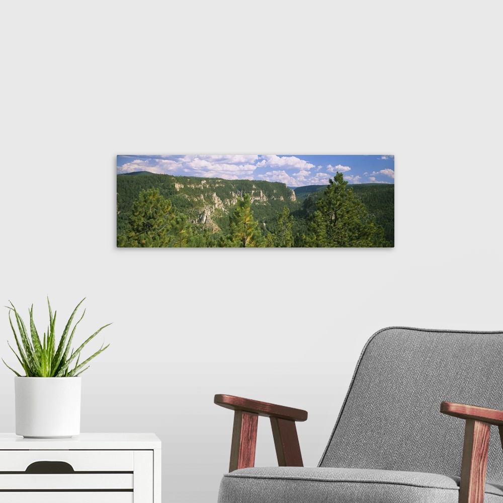 A modern room featuring Trees in a forest, Spearfish Canyon, South Dakota