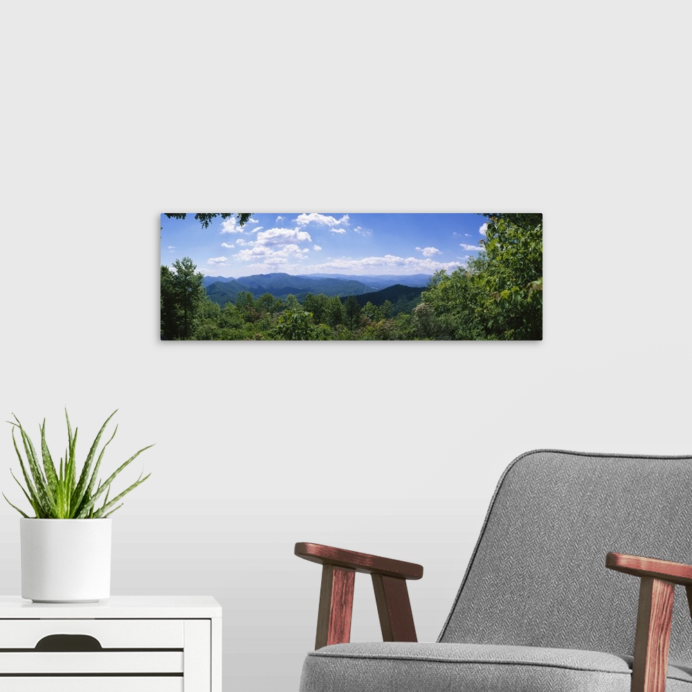 A modern room featuring Trees in a forest with mountains in the background, Cherohala Skyway, North Carolina Highway 143,...
