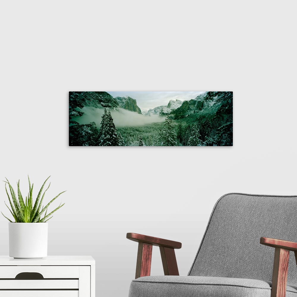 A modern room featuring Trees in a forest, Yosemite National Park, Mariposa County, California