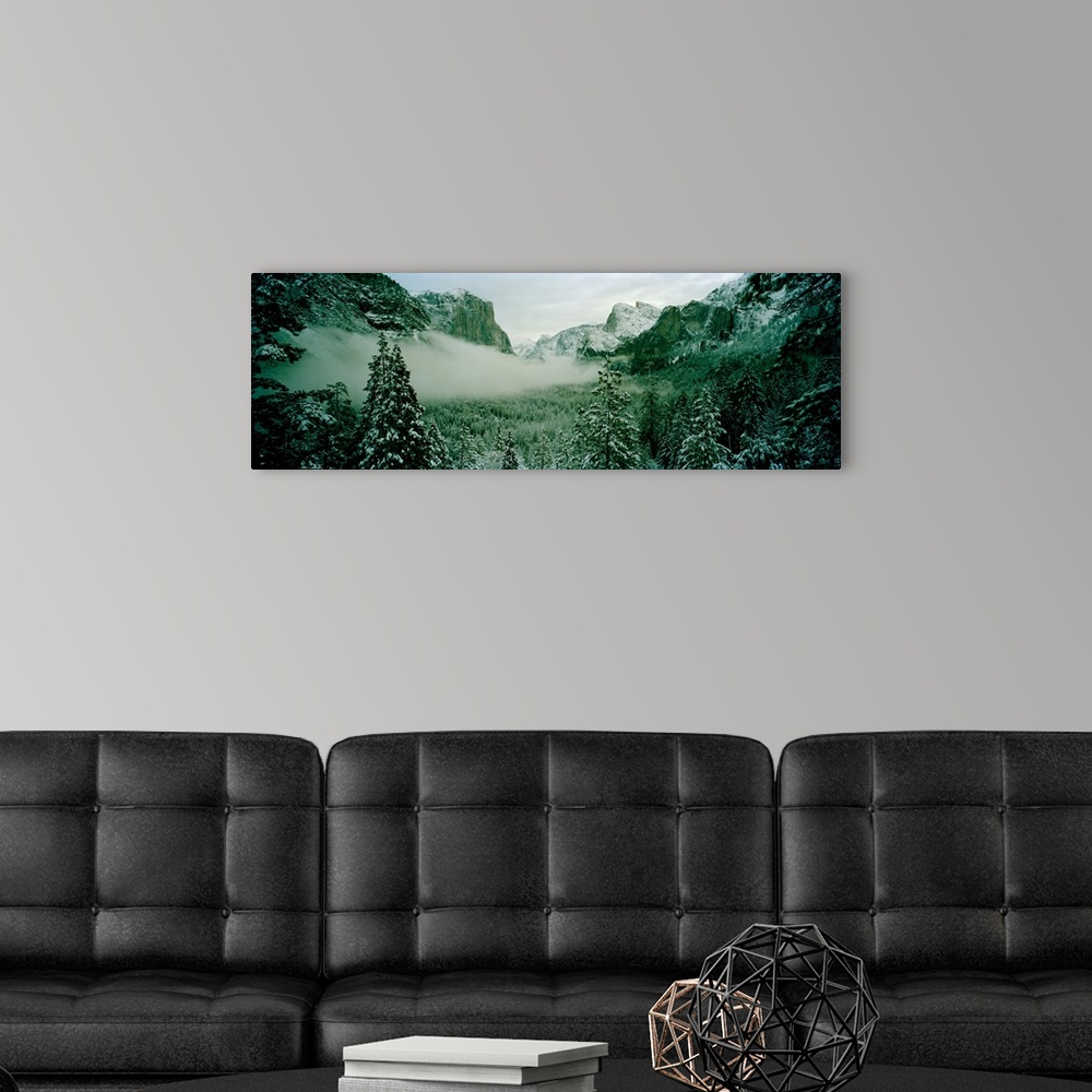 A modern room featuring Trees in a forest, Yosemite National Park, Mariposa County, California
