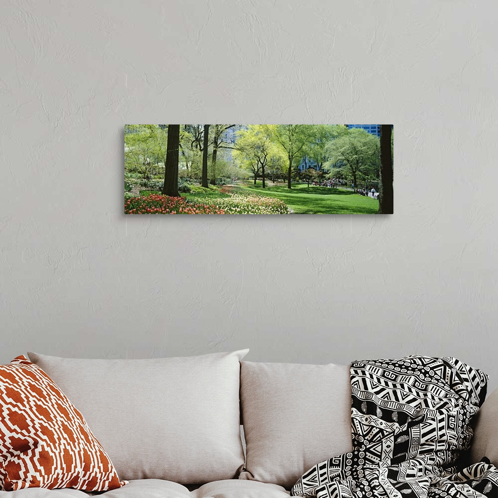 A bohemian room featuring Trees in a park, Central Park, Manhattan, New York City, New York State