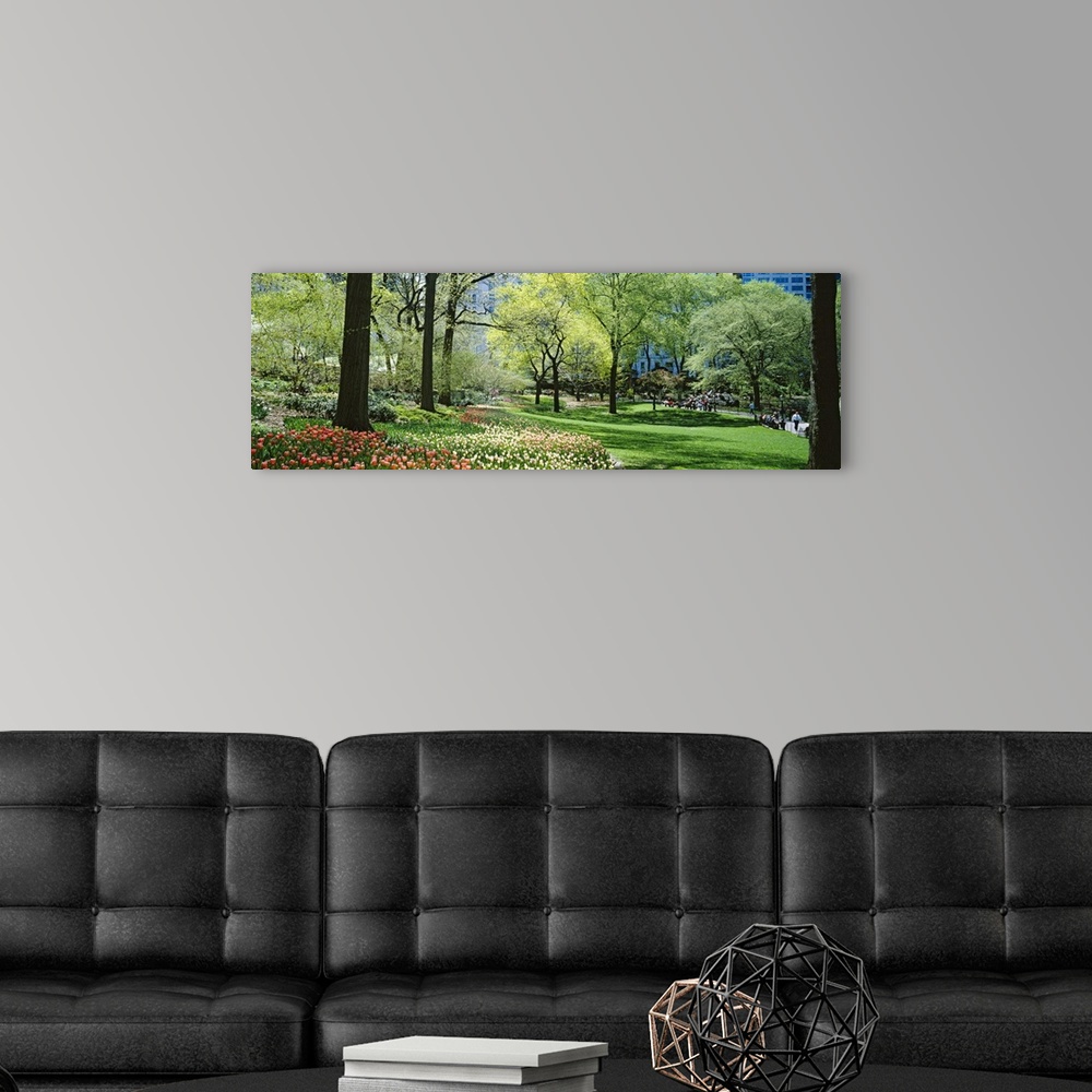 A modern room featuring Trees in a park, Central Park, Manhattan, New York City, New York State