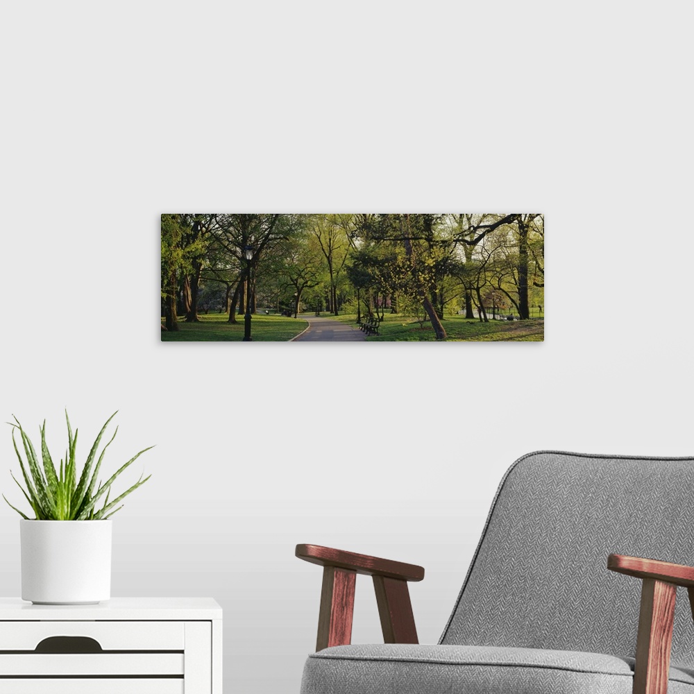 A modern room featuring Central park in the springtime.  Panorama view of a quiet trail running through the heart of cent...
