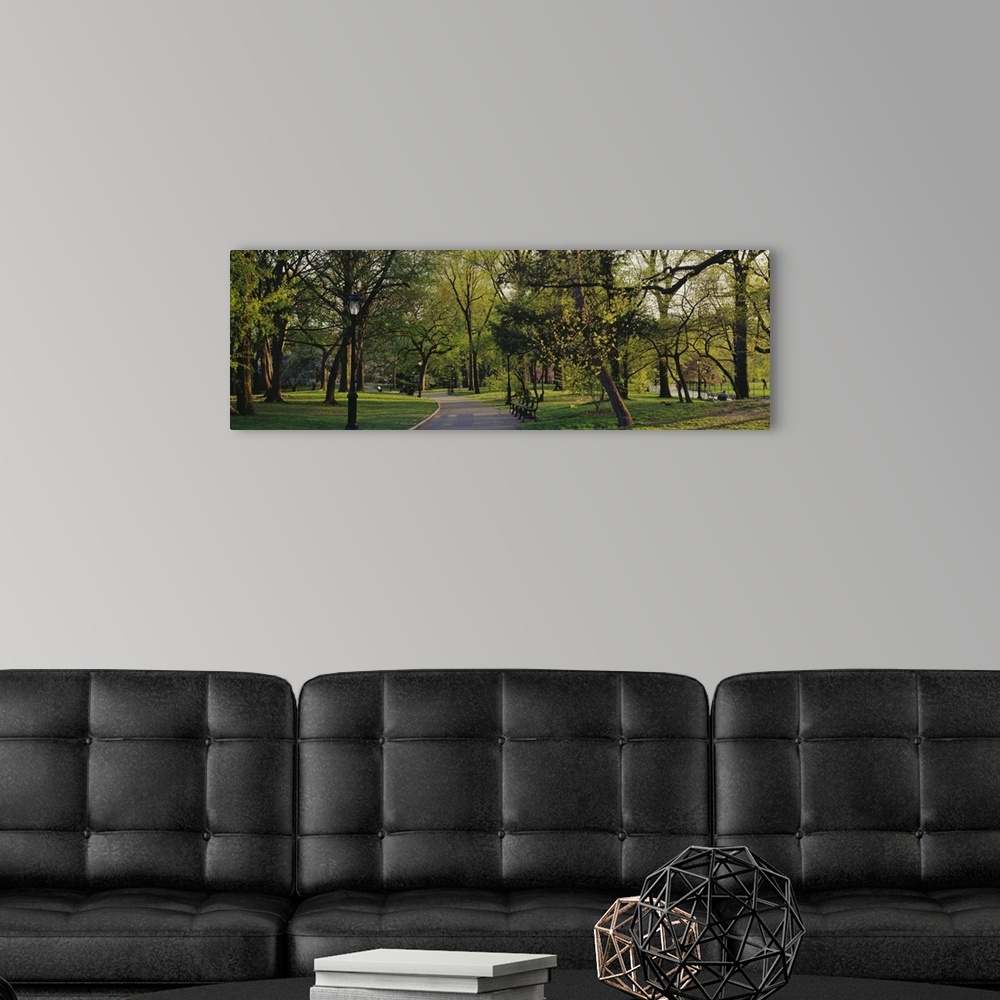 A modern room featuring Central park in the springtime.  Panorama view of a quiet trail running through the heart of cent...