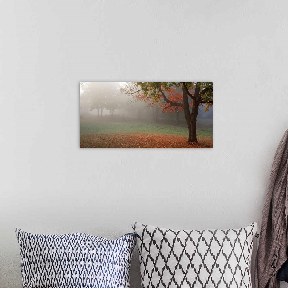 A bohemian room featuring Photograph of the final morning fog lifting from a park with a bed of orange leaves surrounding t...