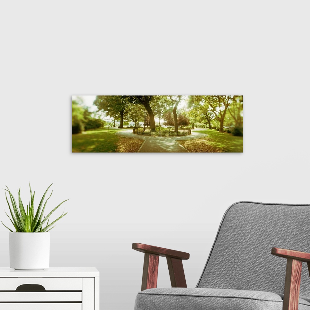 A modern room featuring Trees in a park McCarren Park Greenpoint Brooklyn New York City New York State