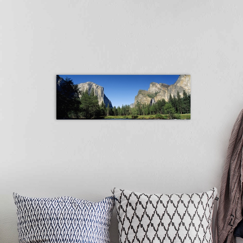 A bohemian room featuring Trees in a valley, Yosemite Valley, Yosemite National Park, California