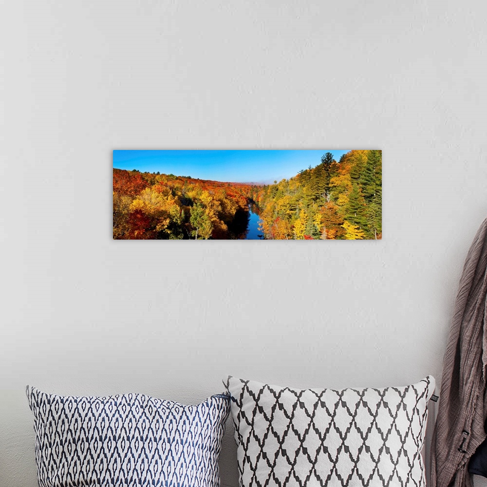A bohemian room featuring Trees in autumn at Dead River, Marquette County, Upper Peninsula, Michigan