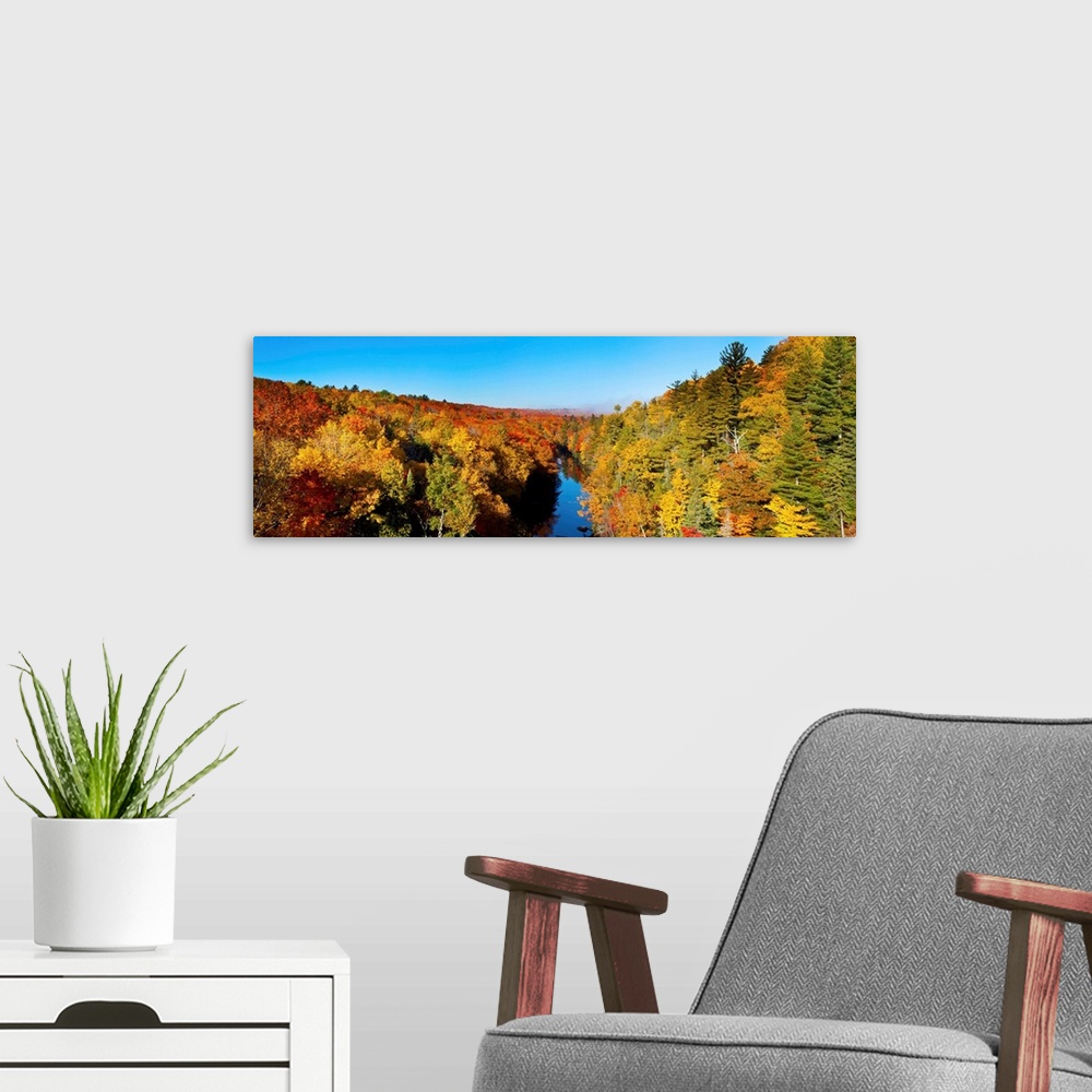 A modern room featuring Trees in autumn at Dead River, Marquette County, Upper Peninsula, Michigan