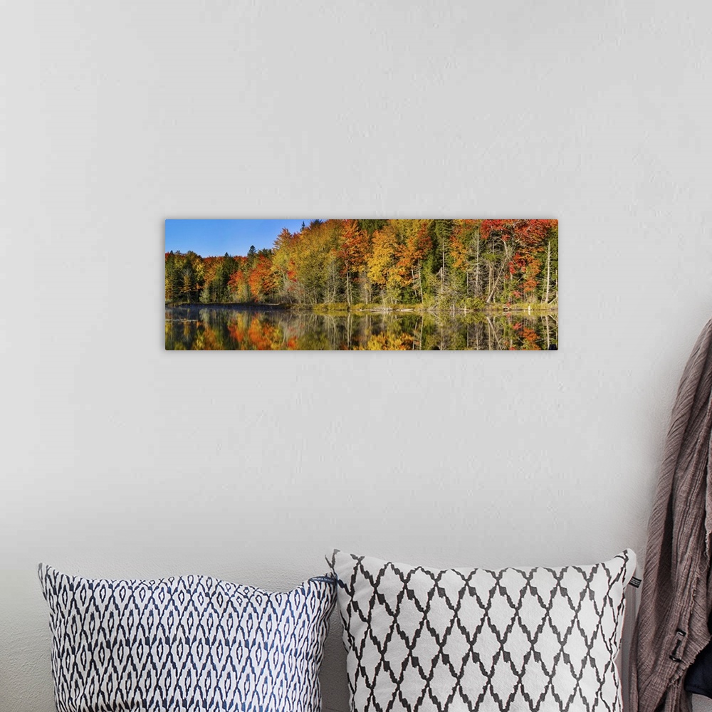 A bohemian room featuring Trees in autumn at Lake Hiawatha, Alger County, Upper Peninsula, Michigan