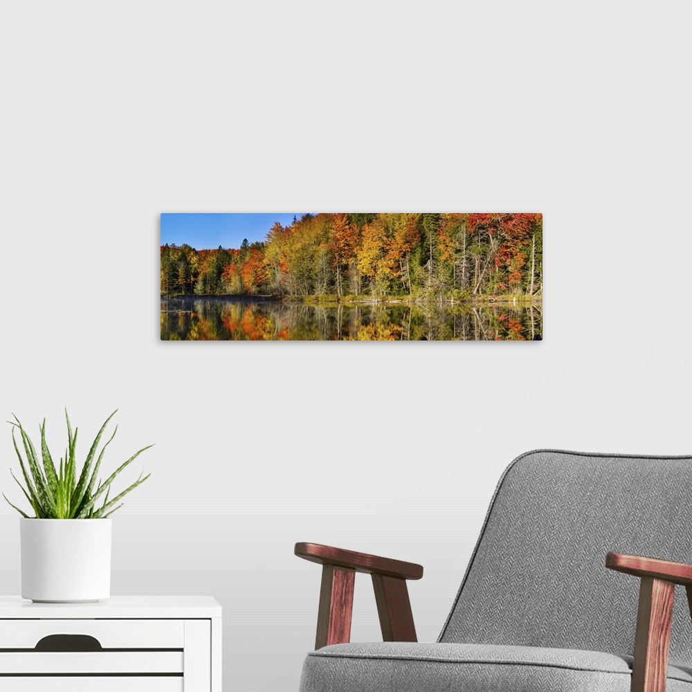 A modern room featuring Trees in autumn at Lake Hiawatha, Alger County, Upper Peninsula, Michigan