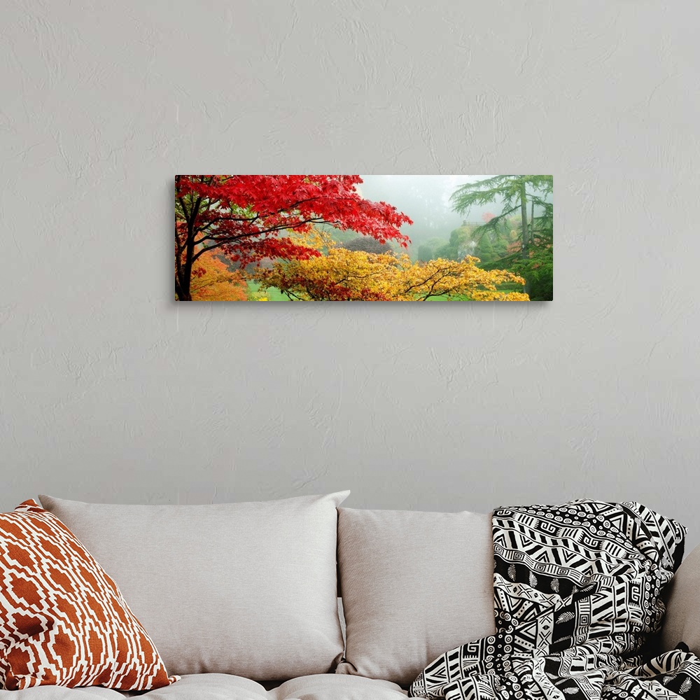 A bohemian room featuring Panoramic photo of brightly colored autumn leaves on trees in an Canadian garden.