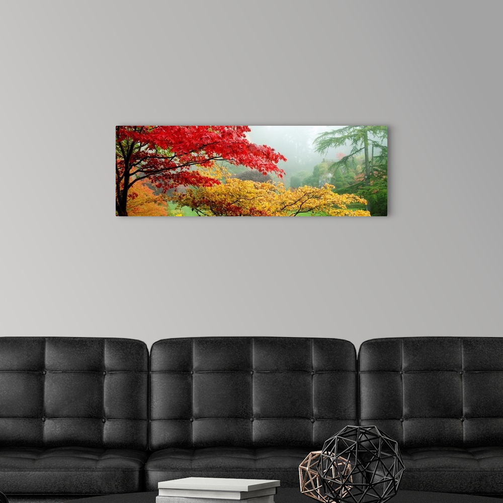 A modern room featuring Panoramic photo of brightly colored autumn leaves on trees in an Canadian garden.