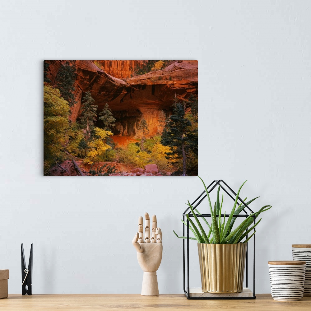 A bohemian room featuring Conifer and deciduous trees are growing at the base of a cliff in a desert canyon where the entra...