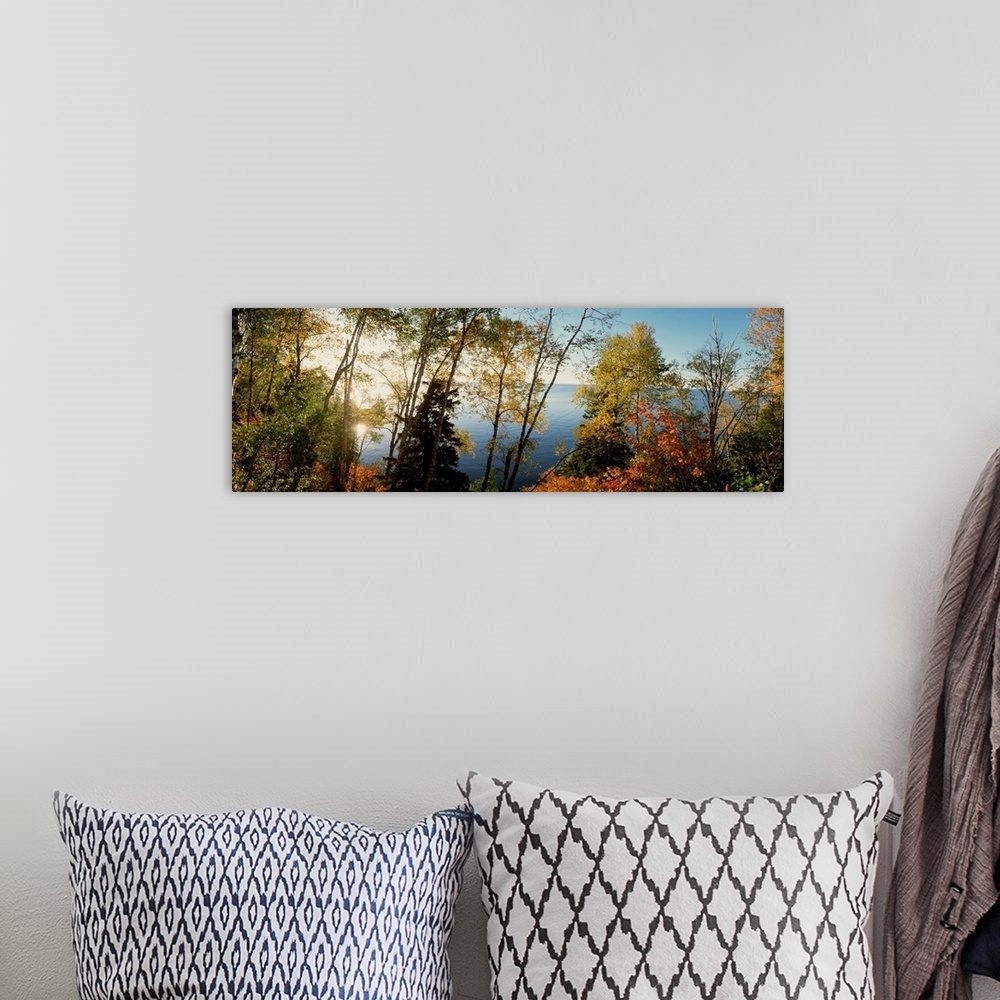 A bohemian room featuring This vertical photograph shows leaves starting to show their autumn colors on trees growing aroun...