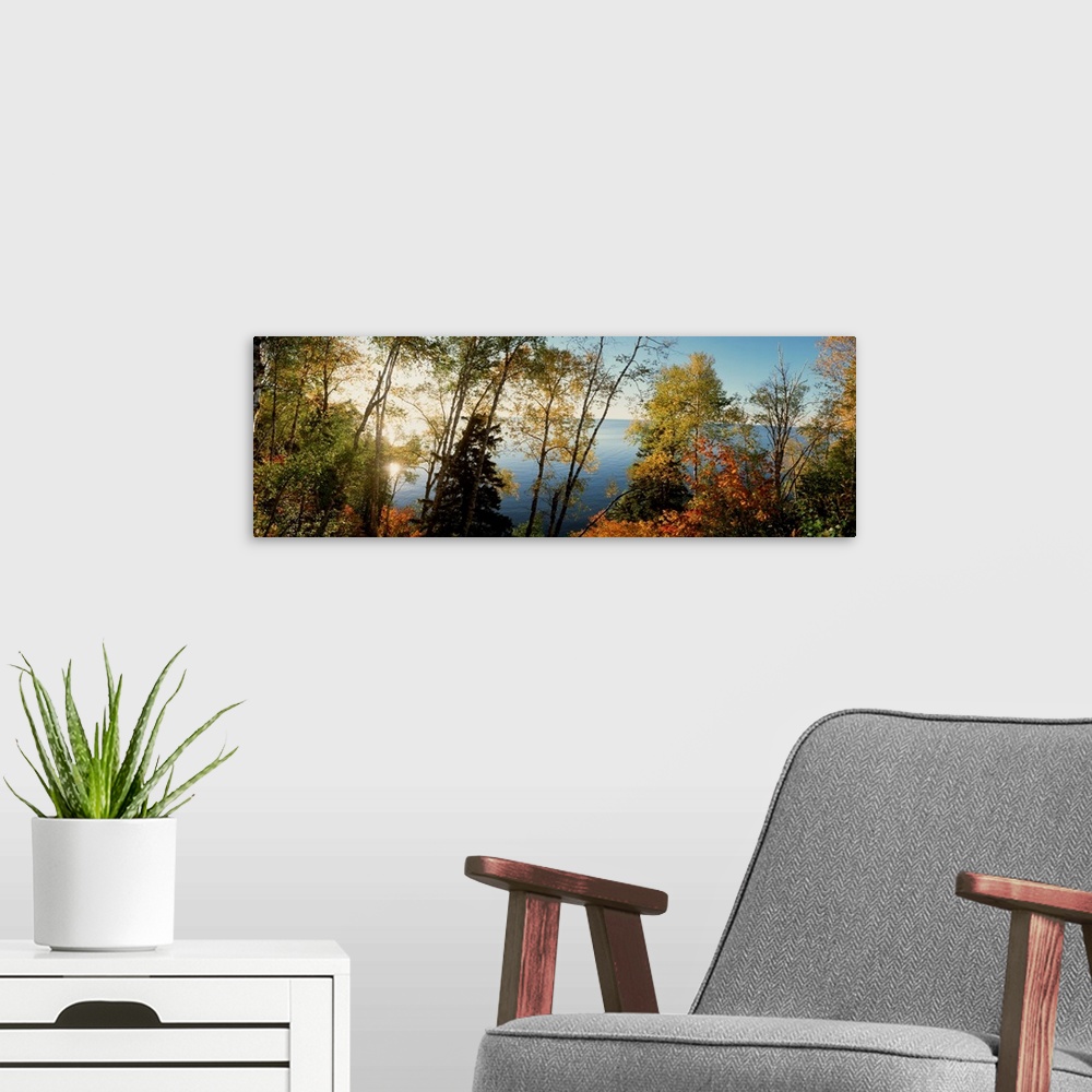 A modern room featuring This vertical photograph shows leaves starting to show their autumn colors on trees growing aroun...