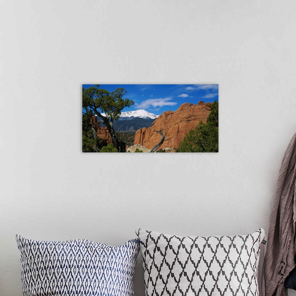 A bohemian room featuring Landscape wall art of trees growing among rocks in wilderness with snowcapped peaks in the backgr...