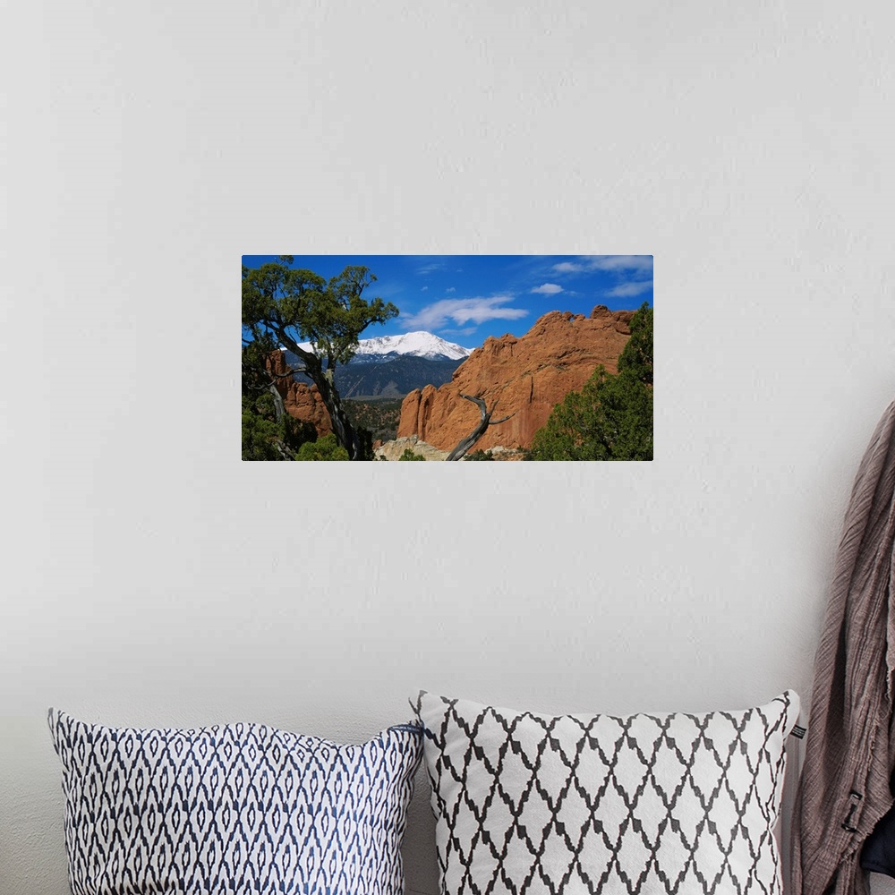 A bohemian room featuring Landscape wall art of trees growing among rocks in wilderness with snowcapped peaks in the backgr...