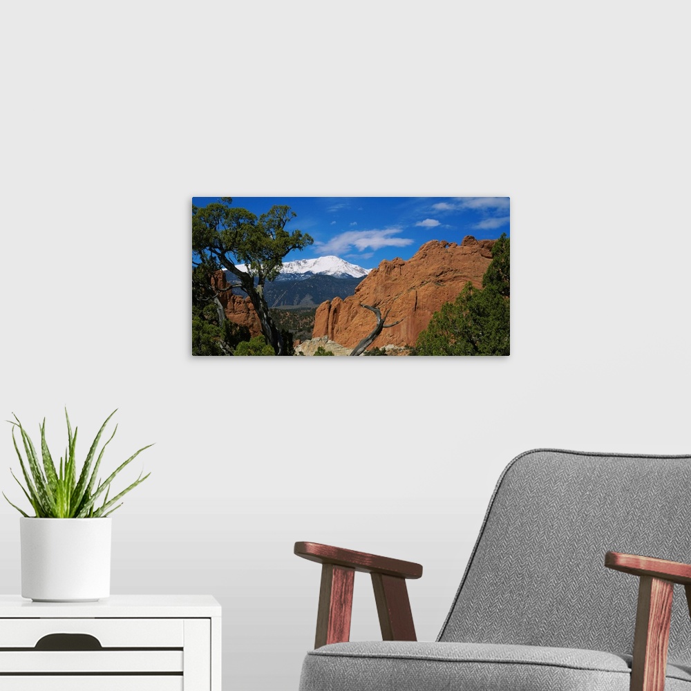 A modern room featuring Landscape wall art of trees growing among rocks in wilderness with snowcapped peaks in the backgr...