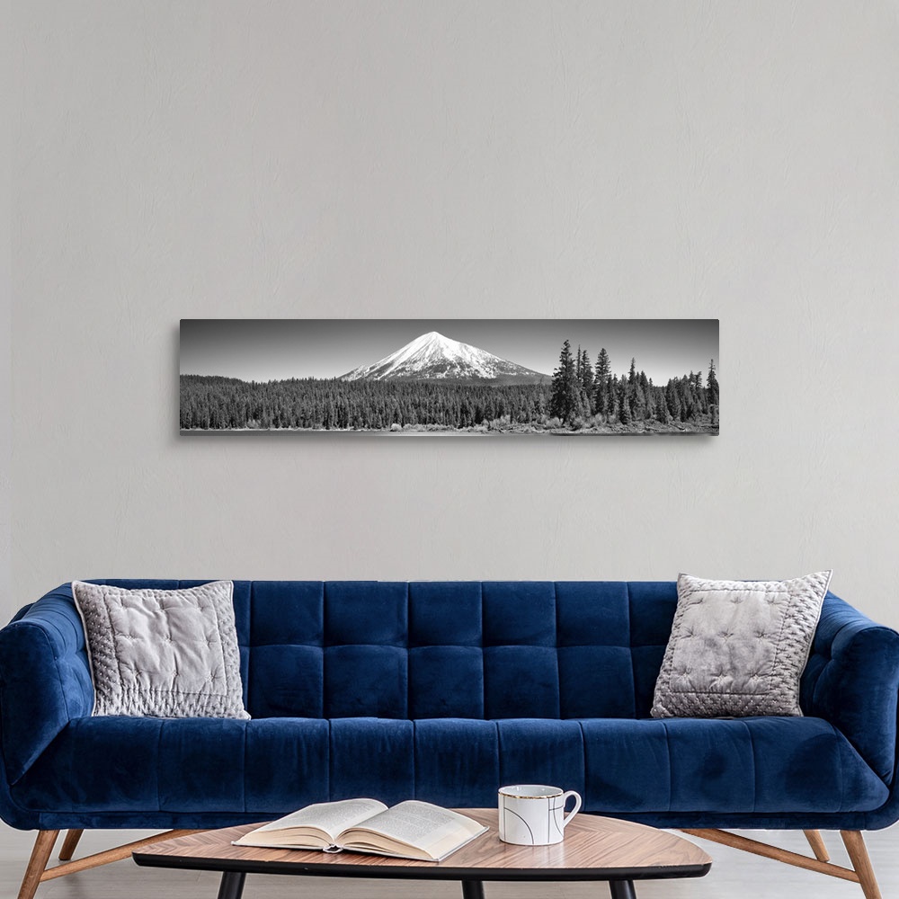 A modern room featuring Trees in front of a snowcapped mountain, Mt McLoughlin, Oregon