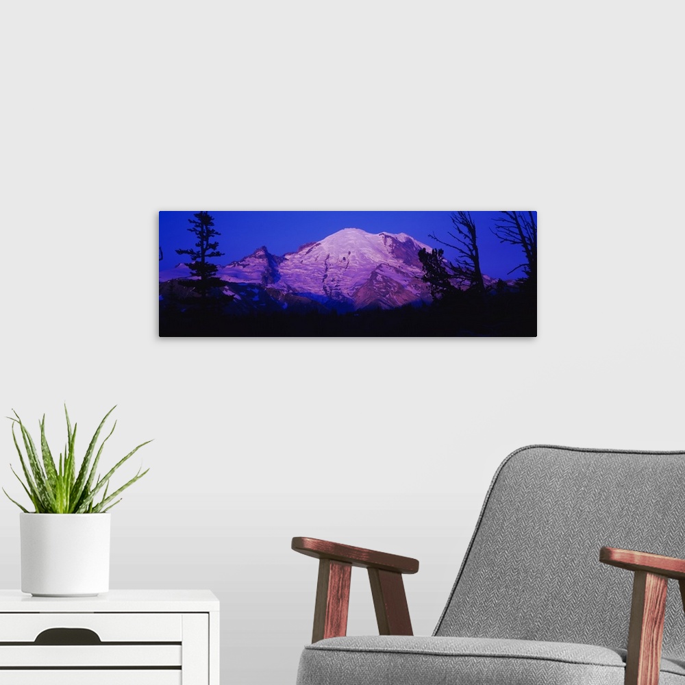 A modern room featuring Trees in front of mountains, Mt Rainier, Mt Rainier National Park, Washington State