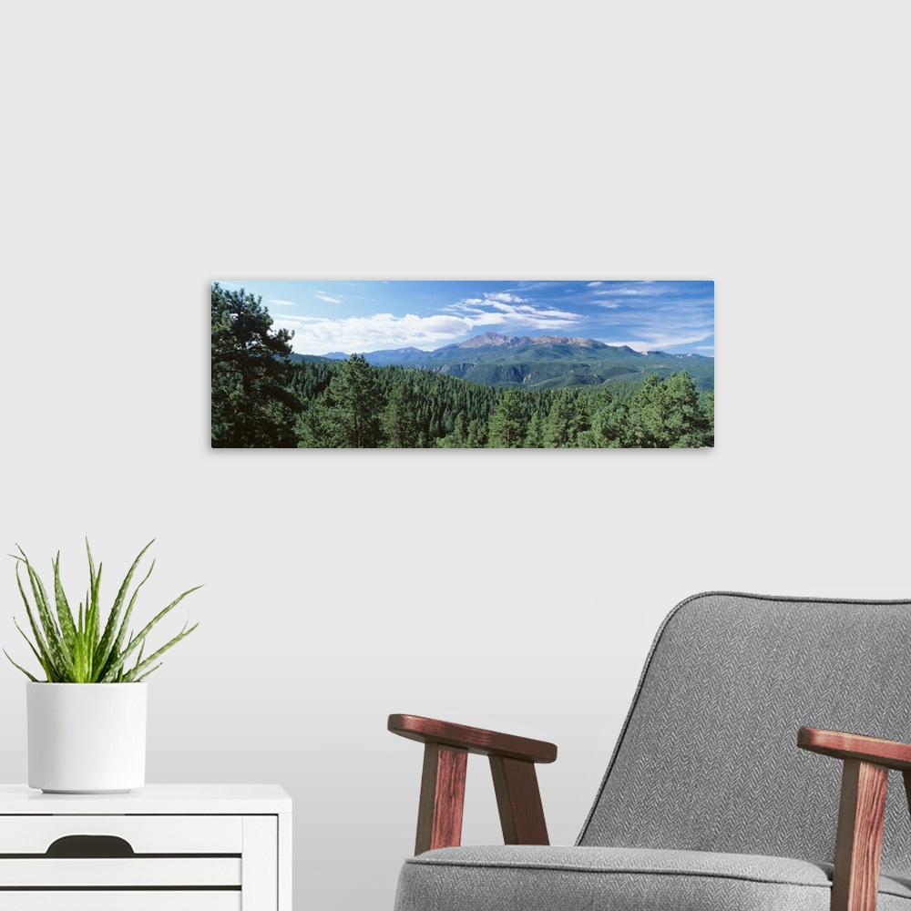 A modern room featuring Panoramic photograph of forest tree tops with mountains in the distance under a cloudy sky.