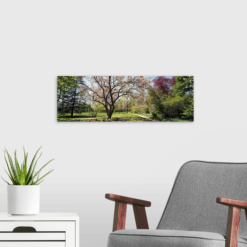 A modern room featuring Addams Park, Spring, Weaton, Illinois, USA