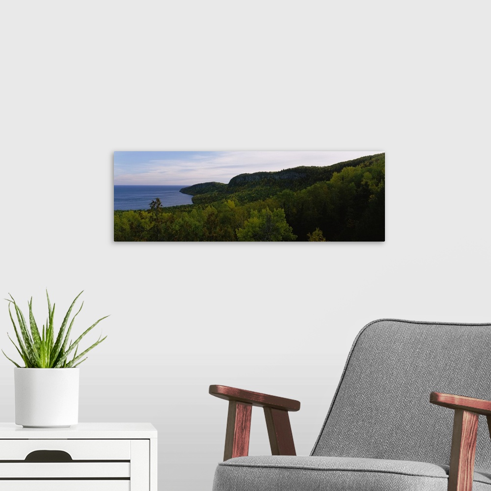 A modern room featuring Trees in the forest, North Shore, Lake Superior, Minnesota