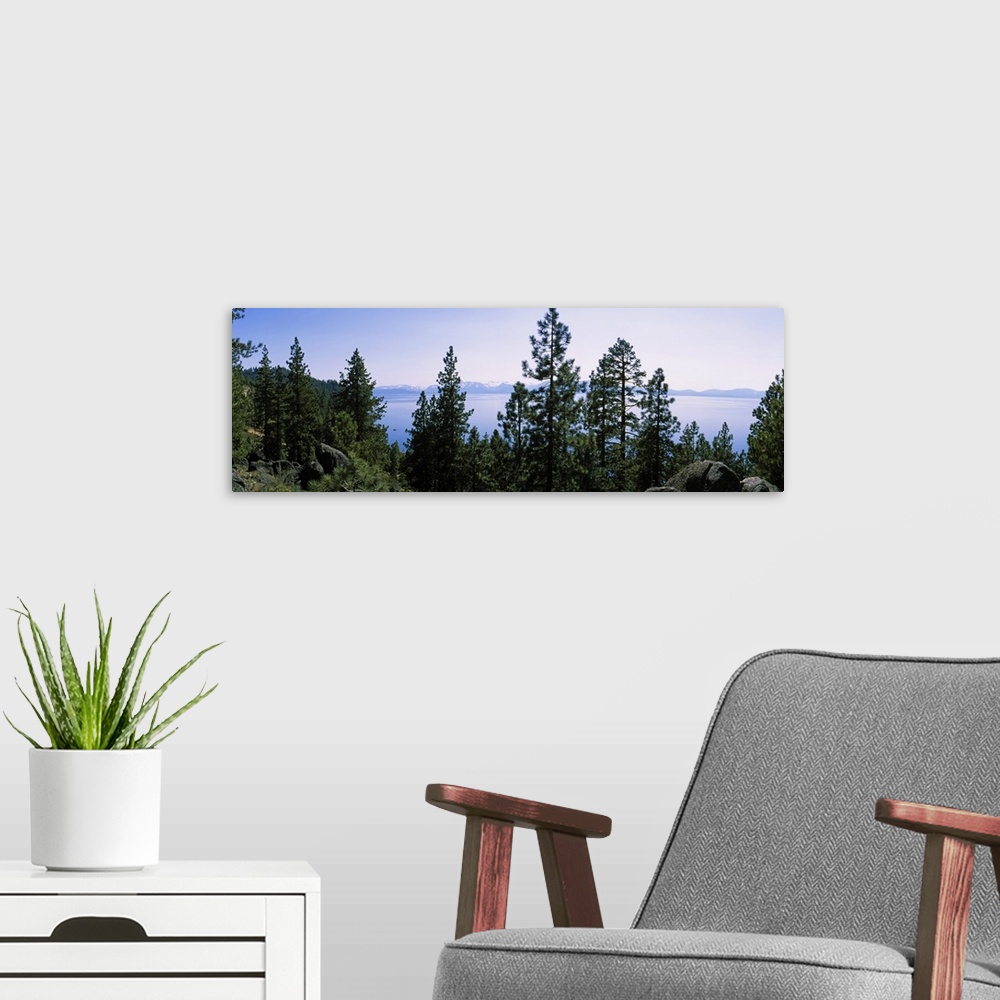 A modern room featuring Trees near a lake, Lake Tahoe, California