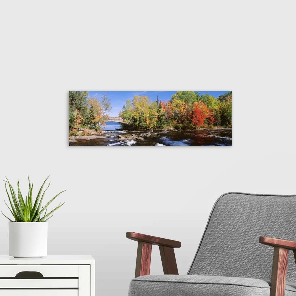 A modern room featuring Trees near a river, Bog River, New York State