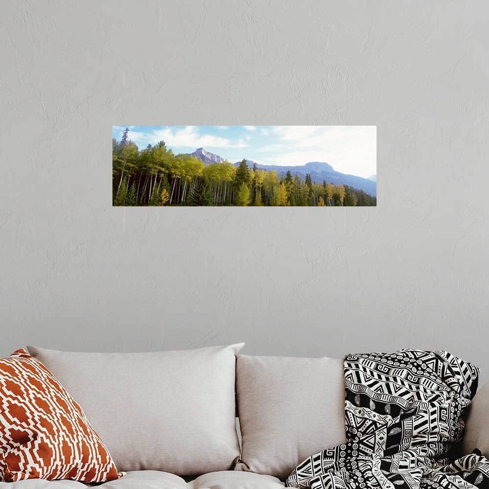 A bohemian room featuring Trees on a field, Icefields Parkway, Canadian Rockies, Jasper National Park, Alberta, Canada