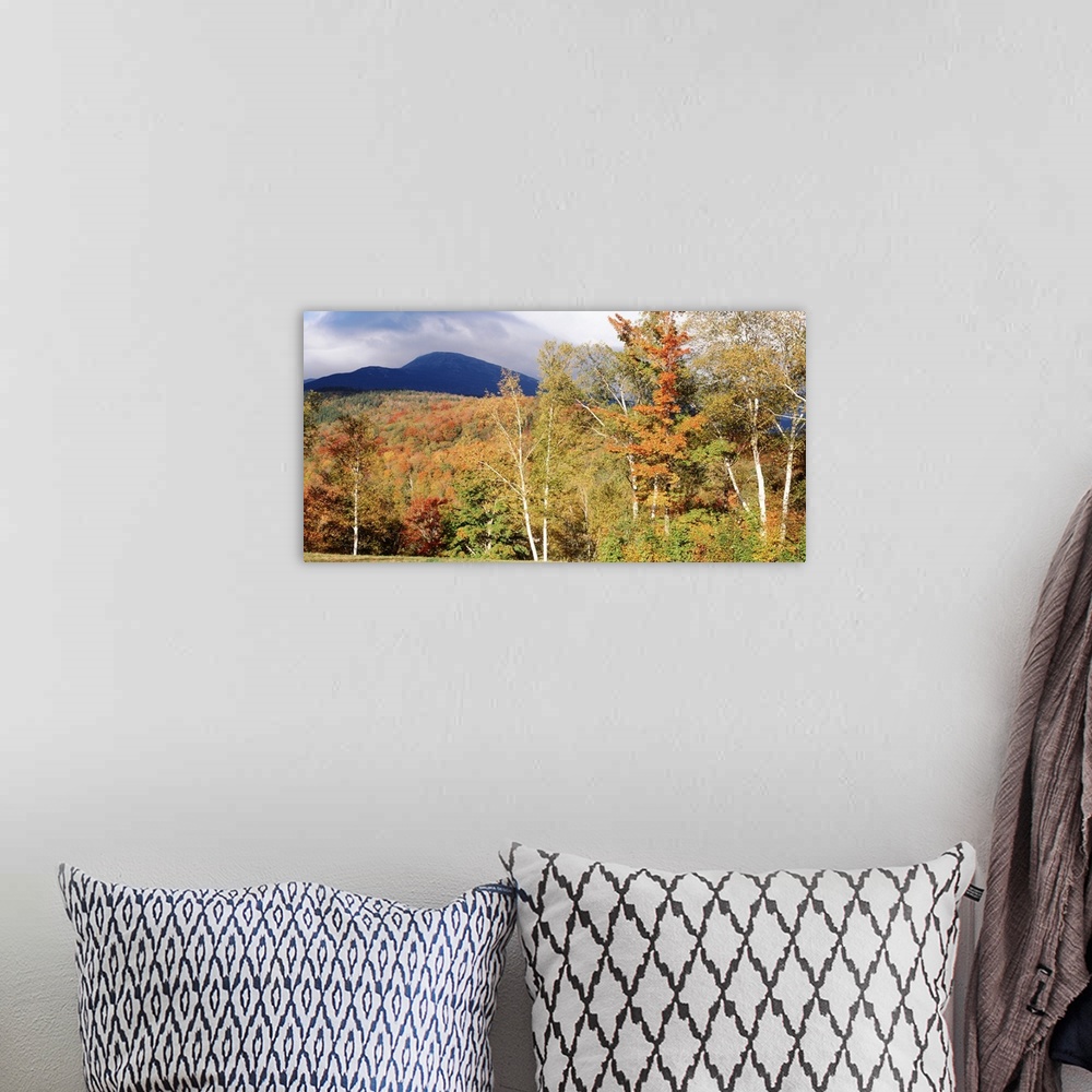 A bohemian room featuring Large landscape photograph of a large field of autumn colored trees in front of Mount Washington ...