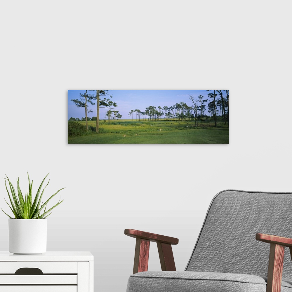 A modern room featuring Trees on a golf course, Eagles Landing Golf Club, Sevierville, Tennessee