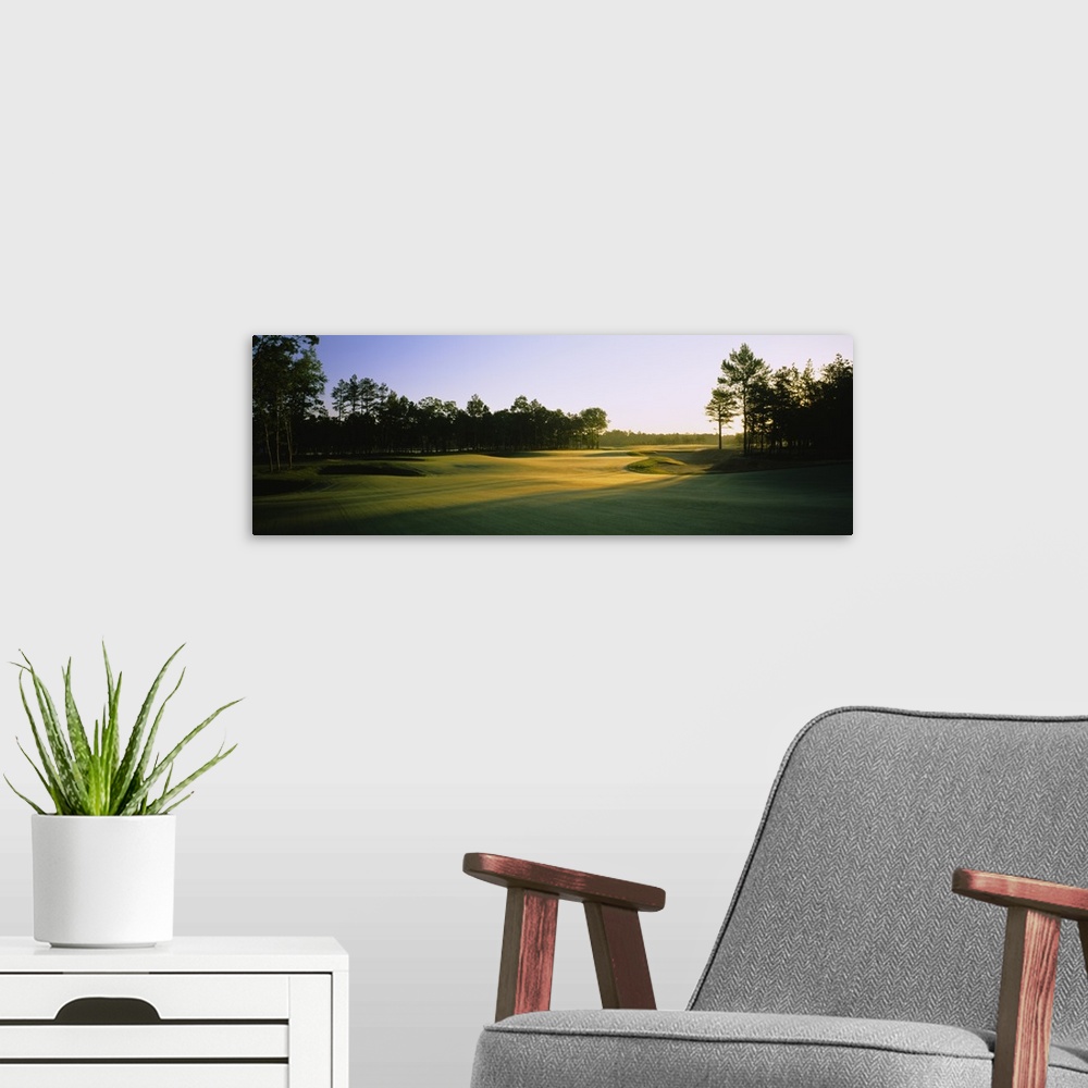 A modern room featuring This is a landscape photograph of an empty golf landscape in the morning light.