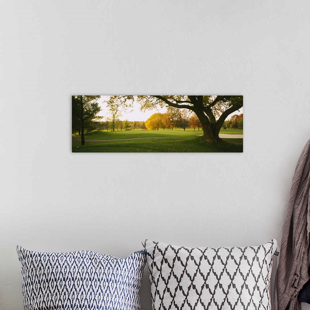 A bohemian room featuring Trees on a golf course, Westwood Country Club, Vienna, Virginia
