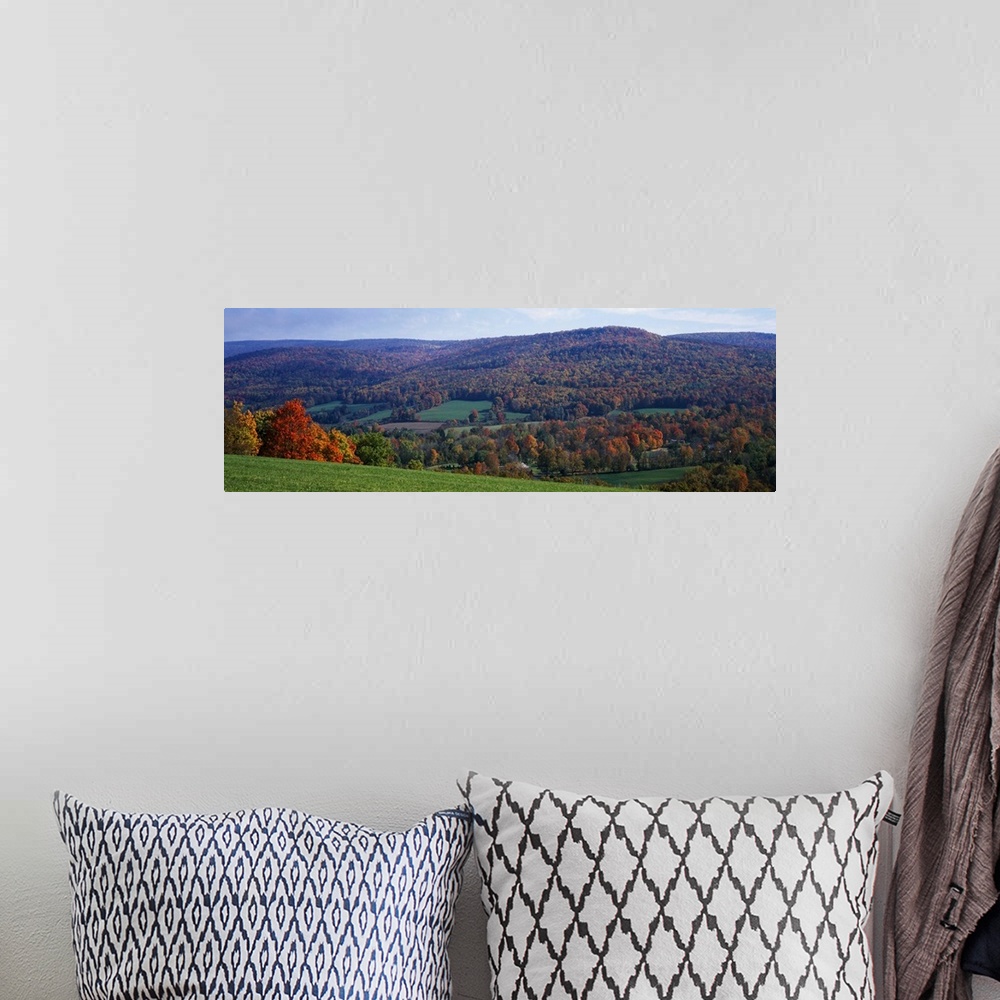 A bohemian room featuring Trees on a hill, Adams, Berkshire County, Massachusetts