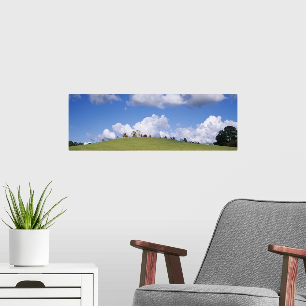 A modern room featuring Trees on a hill, Kentucky