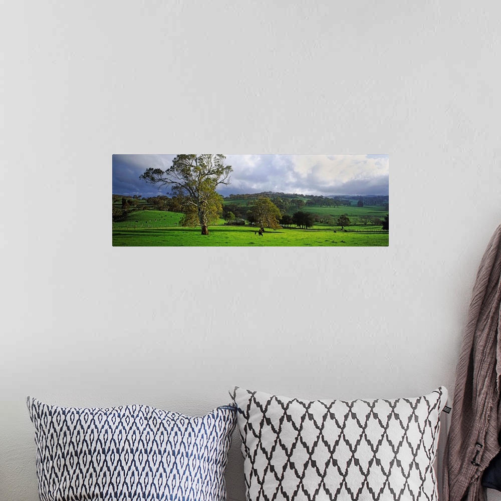 A bohemian room featuring Trees on a hill, Macclesfield, Adelaide Hills, South Australia, Australia