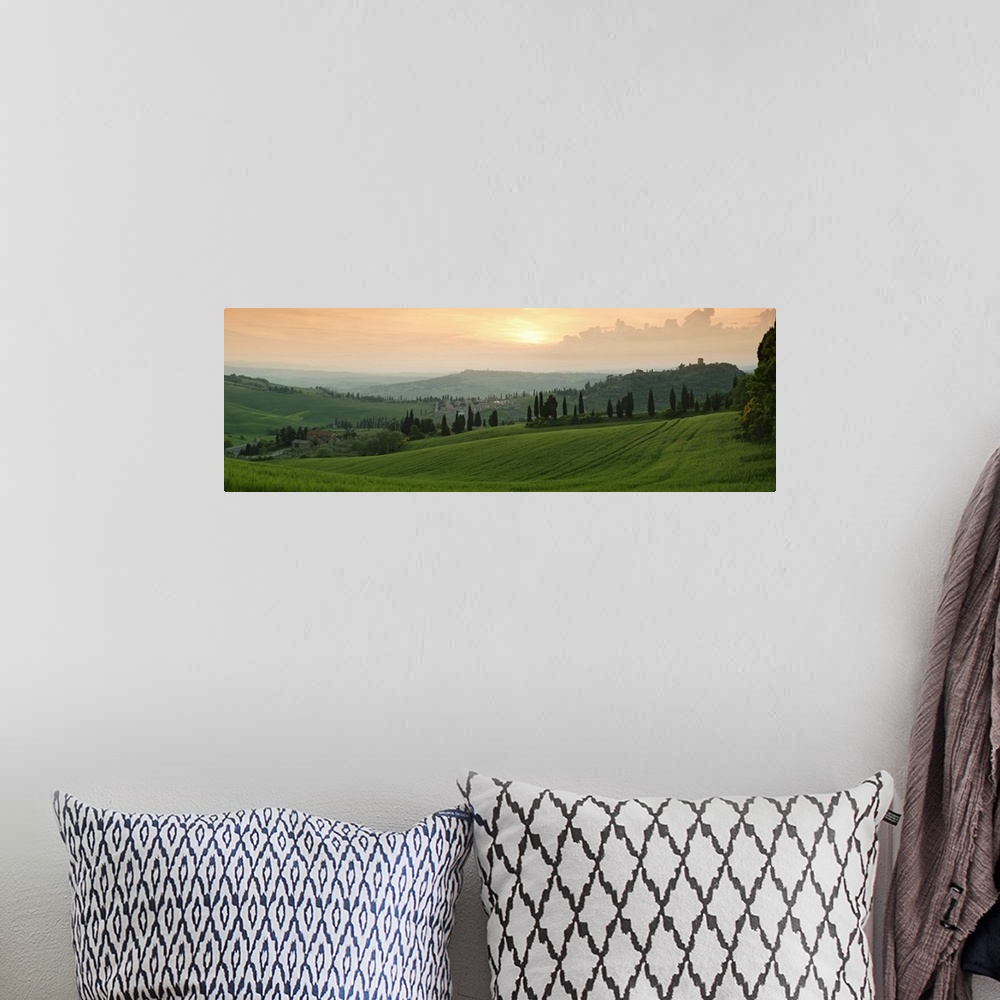 A bohemian room featuring Trees on a hill, Monticchiello Di Pienza, Val d'Orcia, Siena Province, Tuscany, Italy
