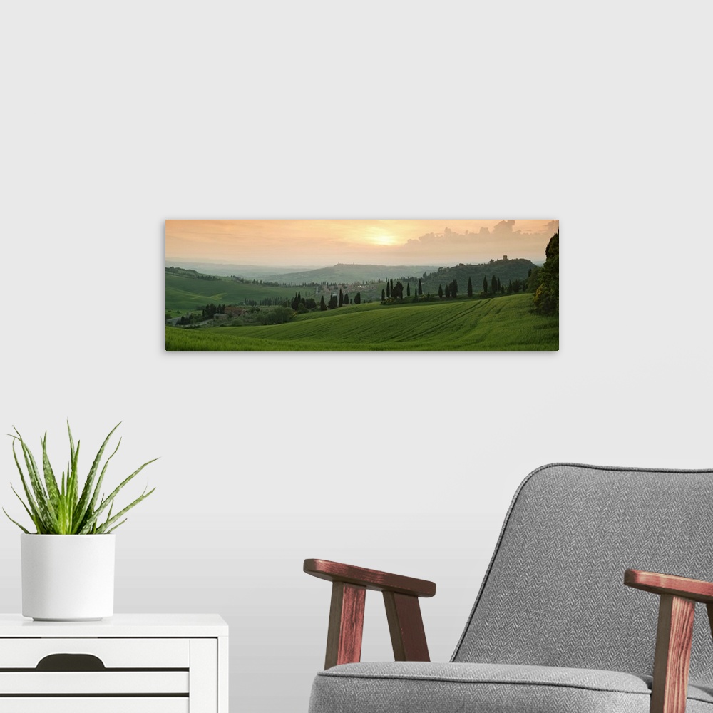 A modern room featuring Trees on a hill, Monticchiello Di Pienza, Val d'Orcia, Siena Province, Tuscany, Italy
