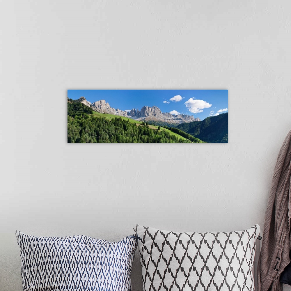 A bohemian room featuring Trees on a hill, Rosengarten, Dolomites, Trentino, Alto Adige, Italy