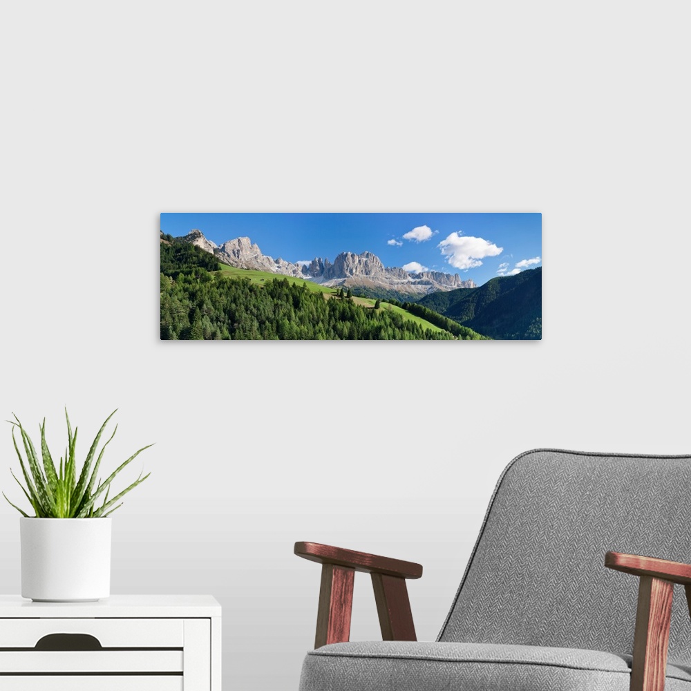 A modern room featuring Trees on a hill, Rosengarten, Dolomites, Trentino, Alto Adige, Italy