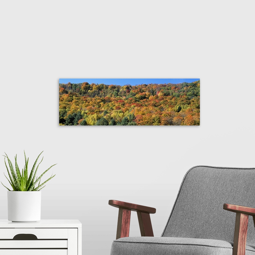 A modern room featuring Trees on a hill, Searsburg, Bennington County, Vermont