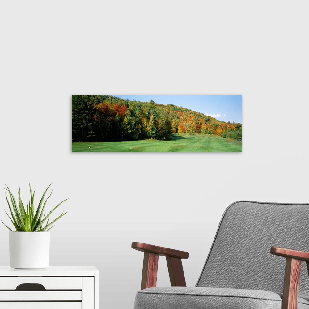 A modern room featuring Trees on a landscape, Jackson, New Hampshire, New England