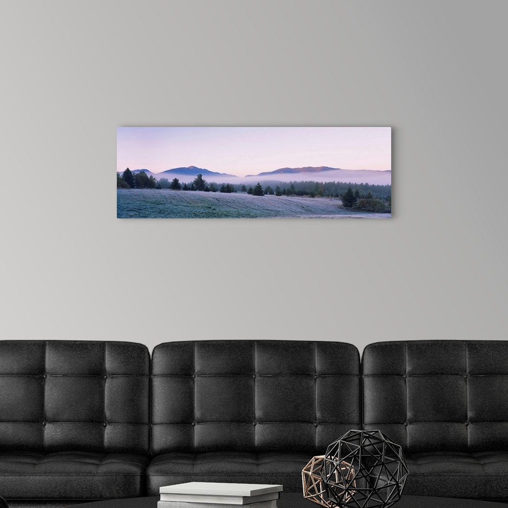 A modern room featuring Trees on a landscape, Lake Placid, Adirondack Mountains, New York State